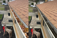 img-home-maintenance20
